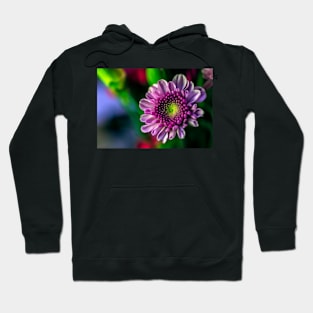 Colorful Flower on a Bokeh Background Hoodie